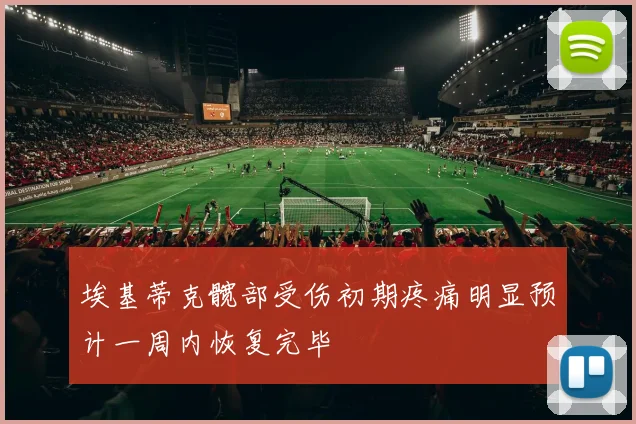 埃基蒂克髋部受伤初期疼痛明显预计一周内恢复完毕